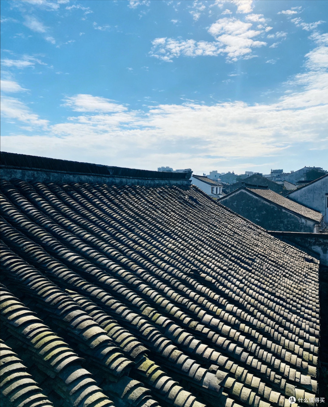 重庆森林｜在鹅岭二厂，赴一场关于凤梨罐头的少年梦