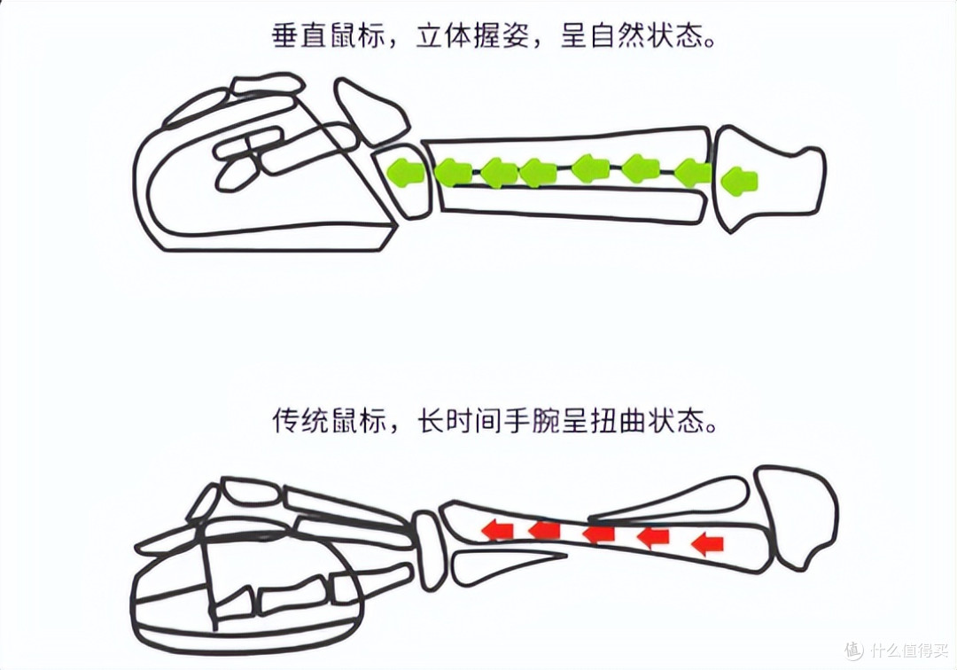 盘点2026年性价比立式鼠标排行榜前十名,办公游戏党必看!