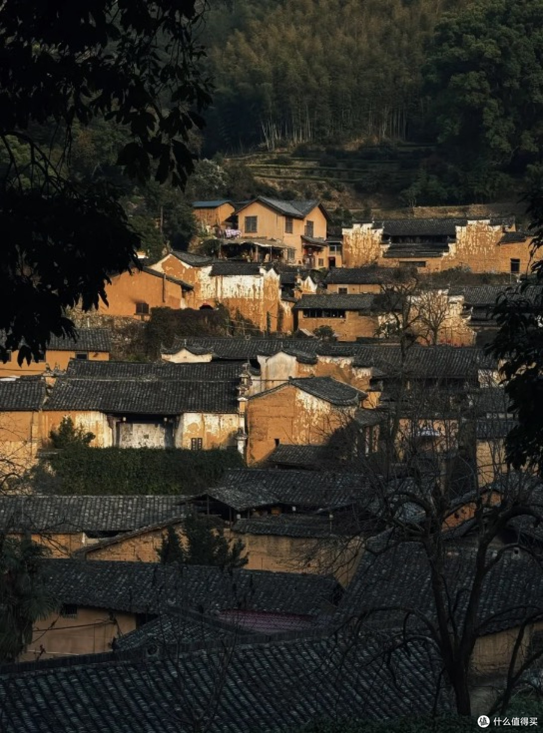 探寻浙江丽水的小众山林