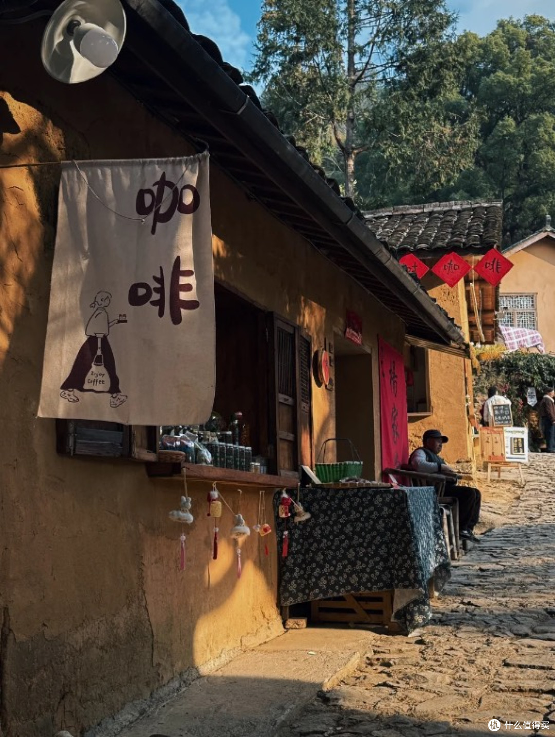探寻浙江丽水的小众山林