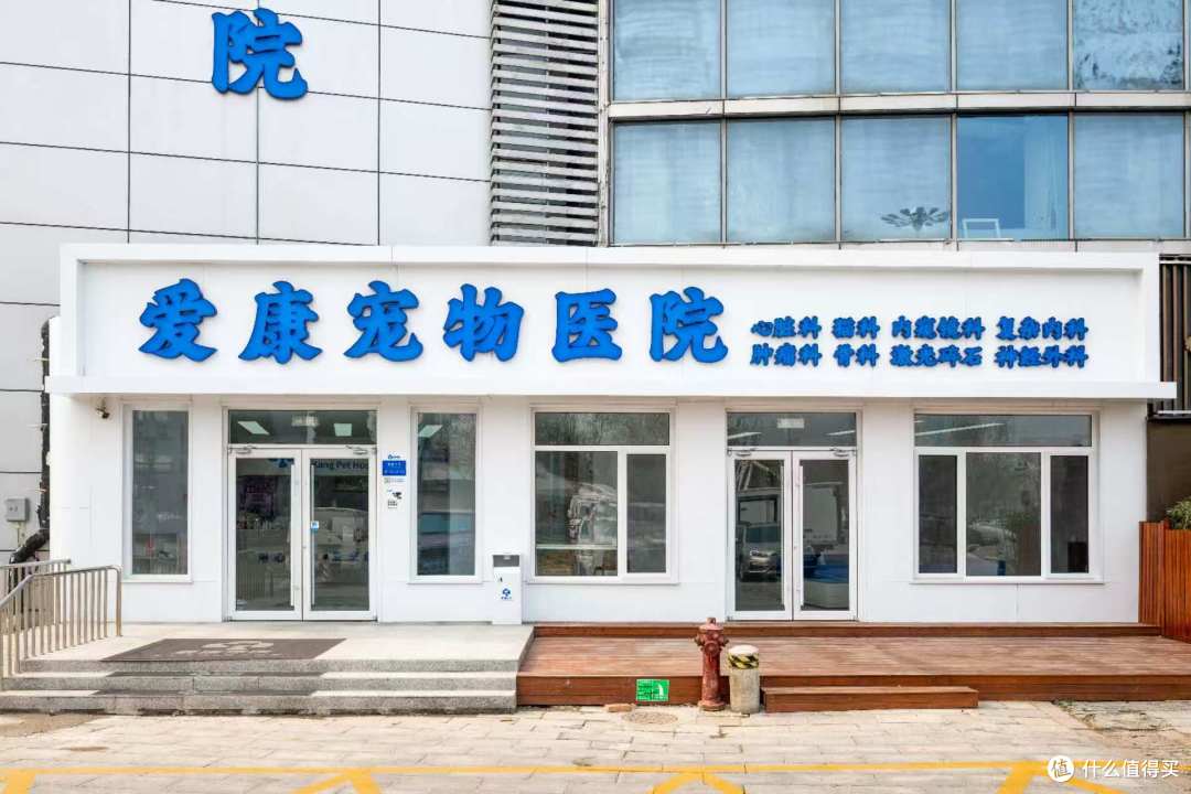 专业团队