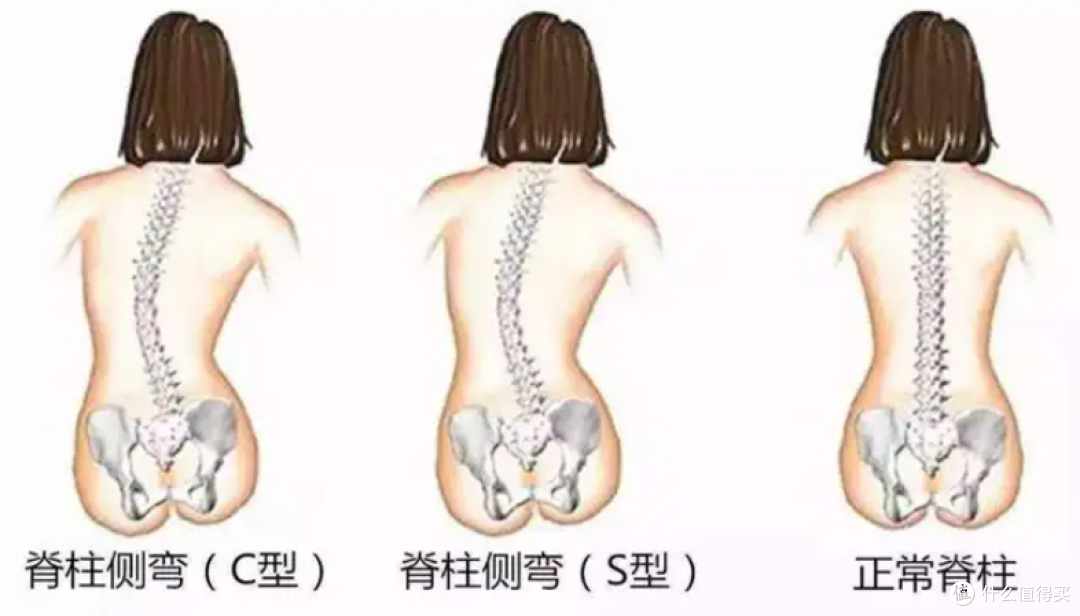 什么牌子的办公椅好?国内办公椅子十大品牌