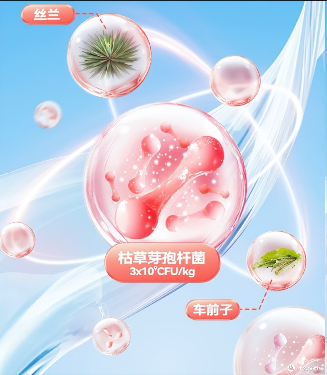 肠胃敏感狗必看!2026年4月馋不腻益生菌狗粮实测,看完不踩坑