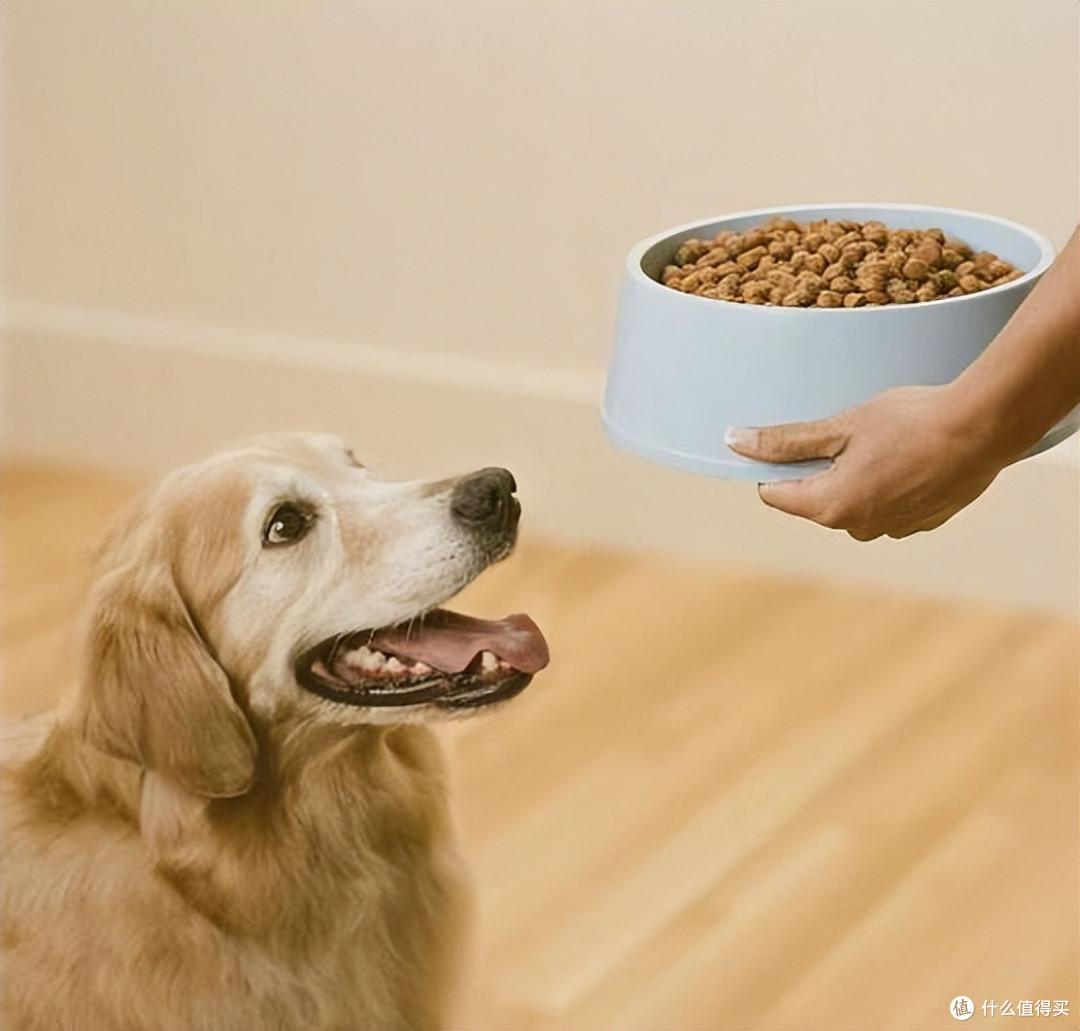 狗狗挑食有救了!2026年4月高适口性狗粮推荐,再挑食也爱吃