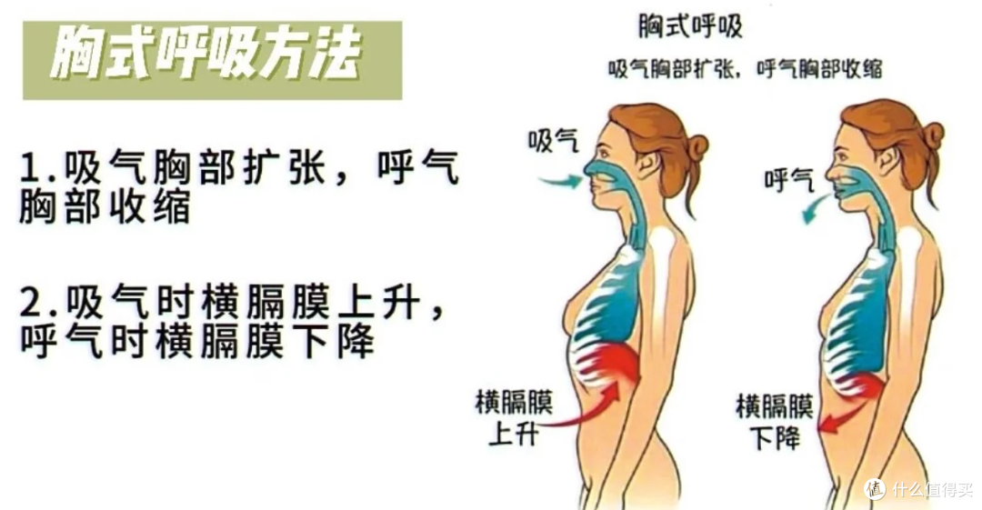 你以为的深呼吸竟然是错的?腹式呼吸5好处,第一个你就不知道
