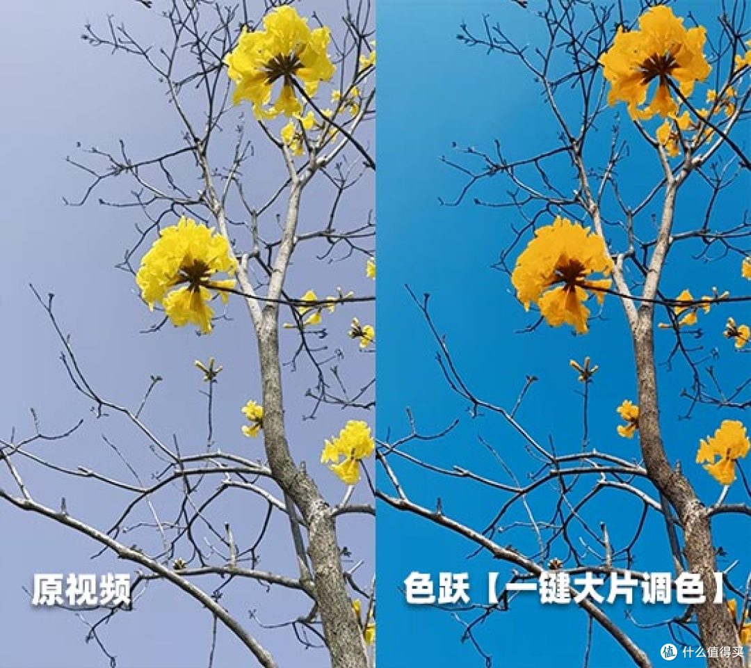 视频曝光拉太低了怎么补救?一键拉回曝光,画质瞬间通透