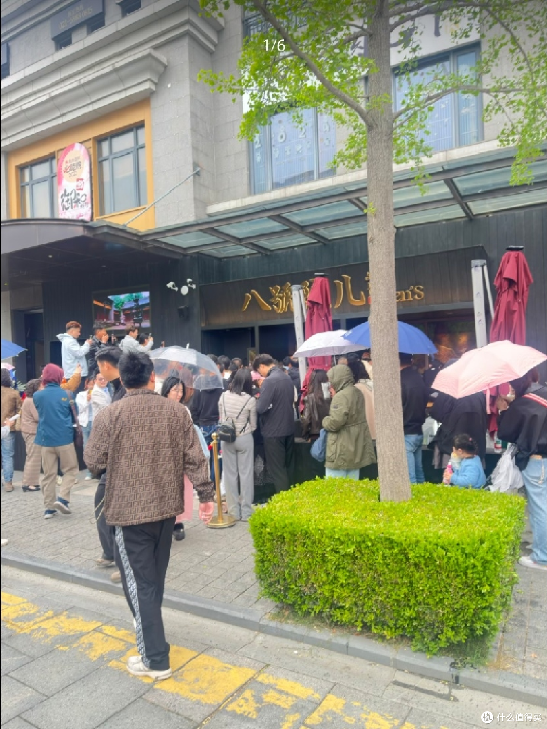 一碗陕面贵不贵?文章亲自端盘擦桌,网友:这“情怀税”交得值!