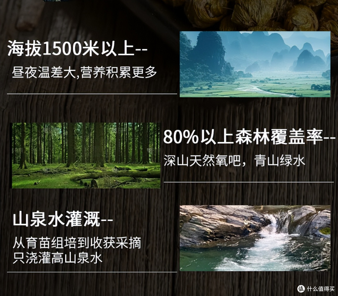 铁皮石斛哪个牌子最好最正宗?2026年十大口碑品牌体验,品质升级
