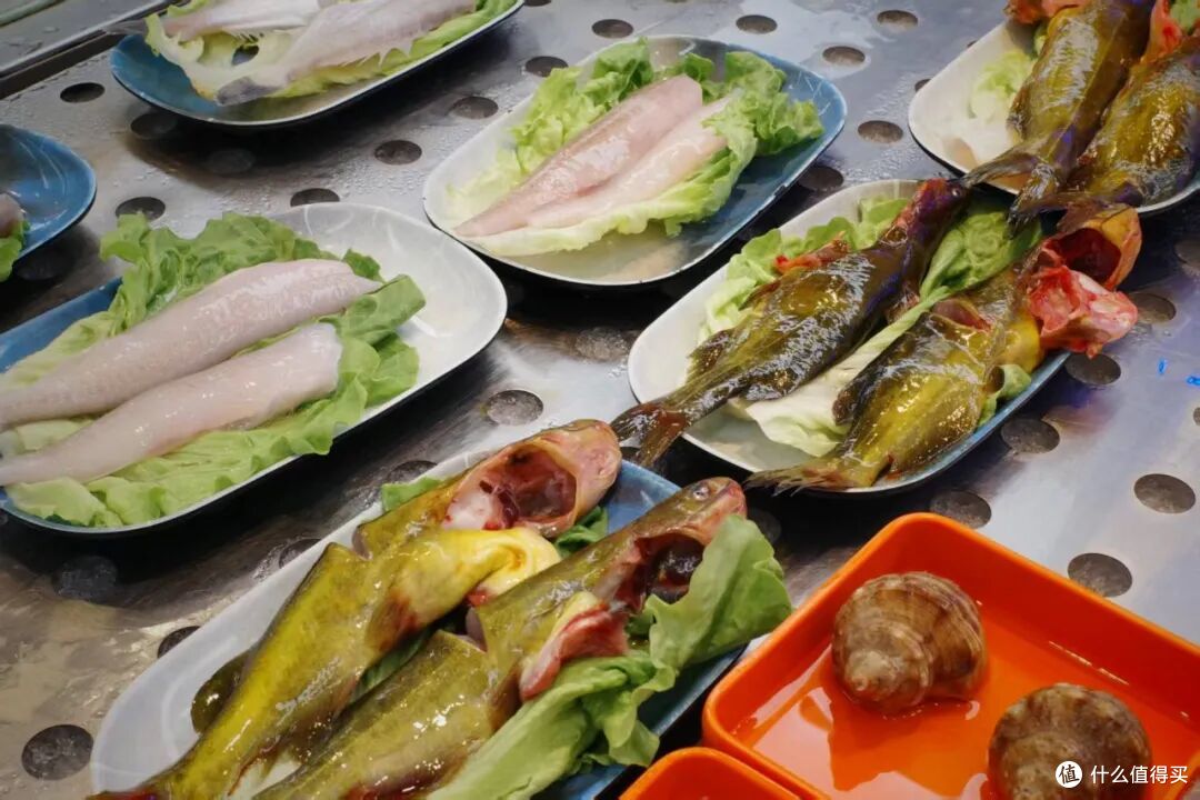 国内有这么权威的海，后知后觉真是太不应该！
