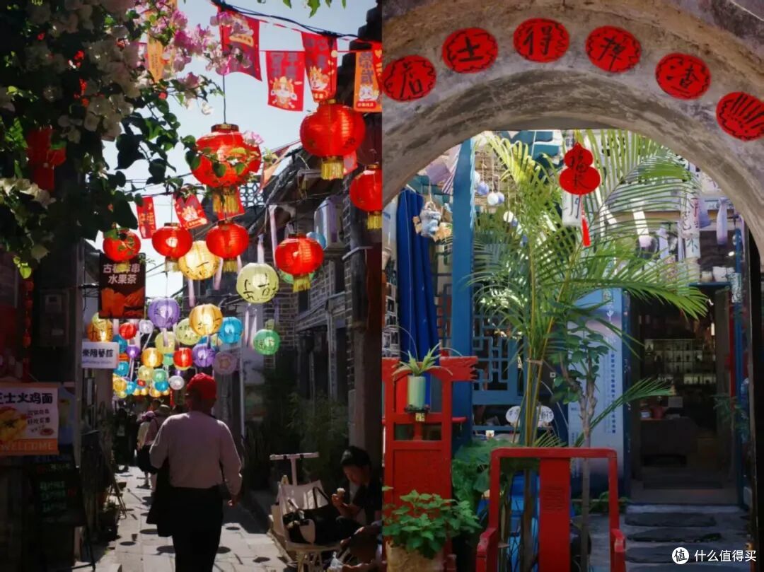 国内有这么权威的海，后知后觉真是太不应该！