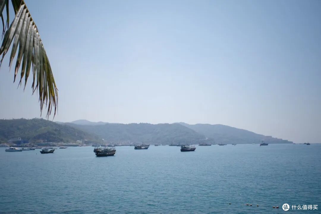 国内有这么权威的海，后知后觉真是太不应该！