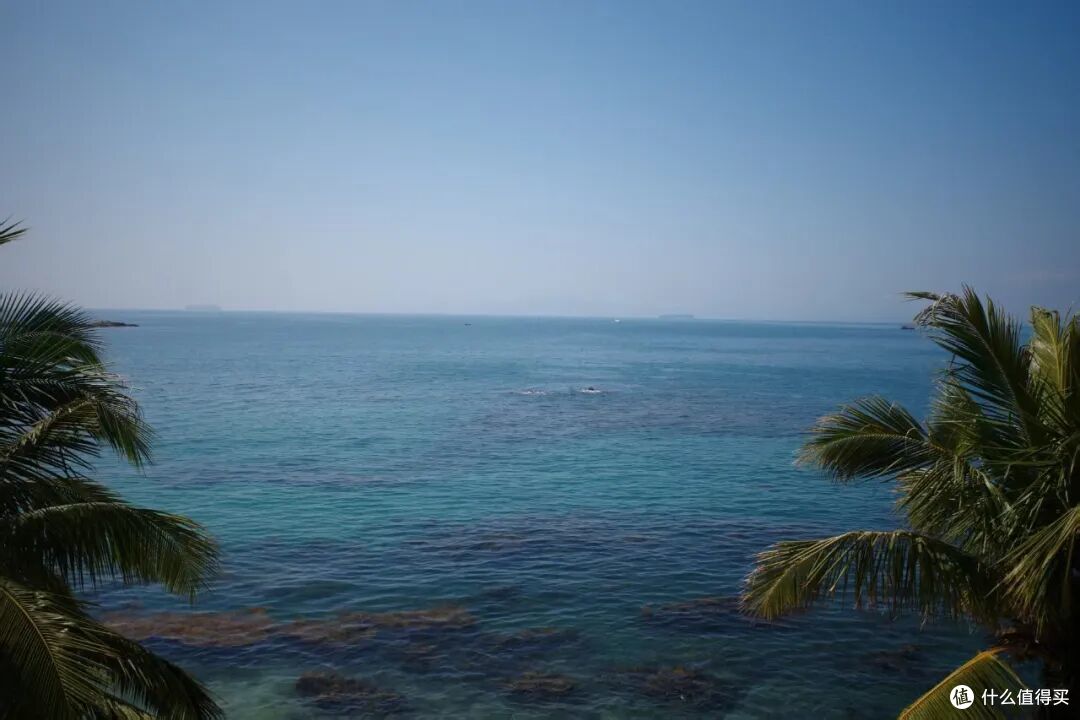 国内有这么权威的海，后知后觉真是太不应该！