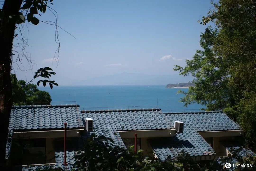 国内有这么权威的海，后知后觉真是太不应该！