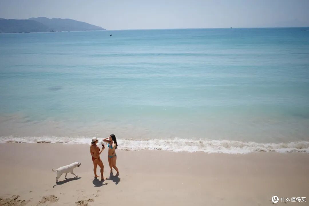 国内有这么权威的海，后知后觉真是太不应该！
