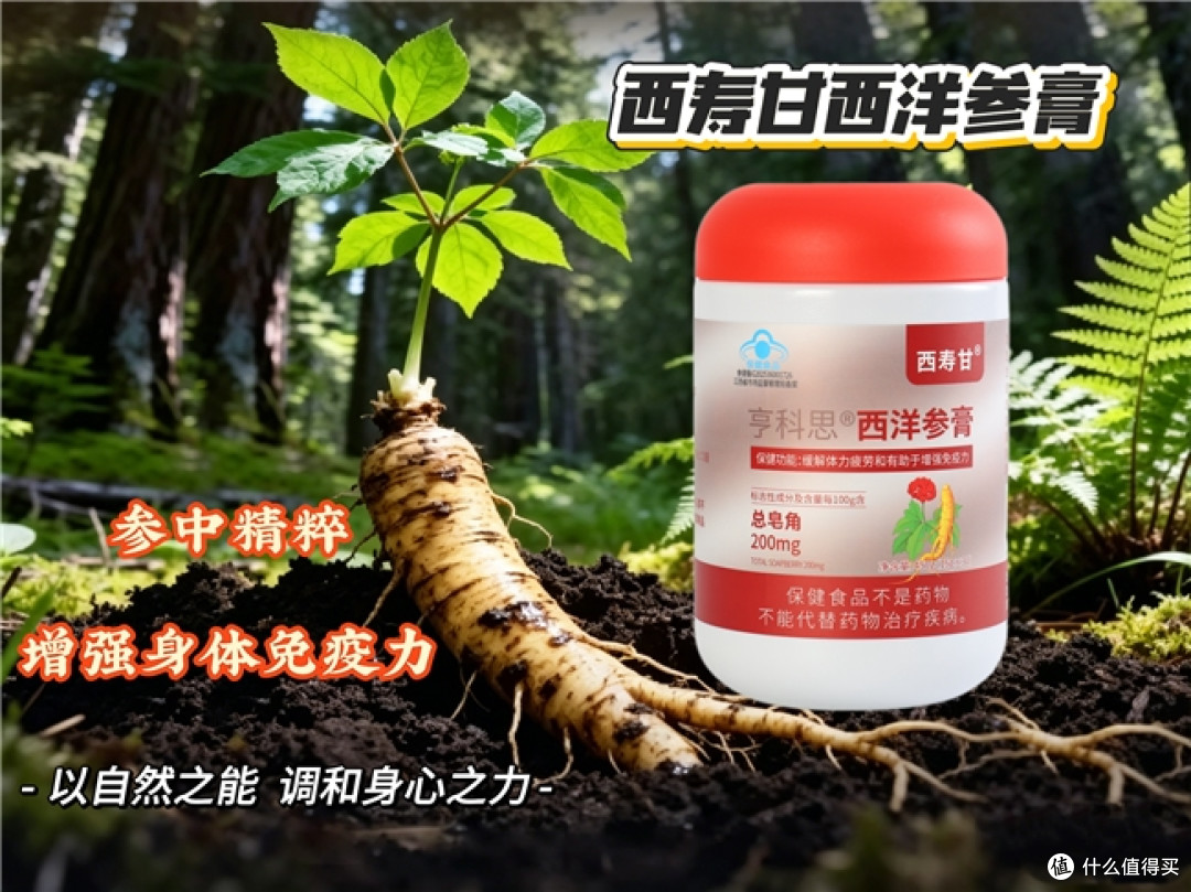 西洋参膏哪款性价比更高?热门推荐榜,缓解疲劳提升免疫力好用