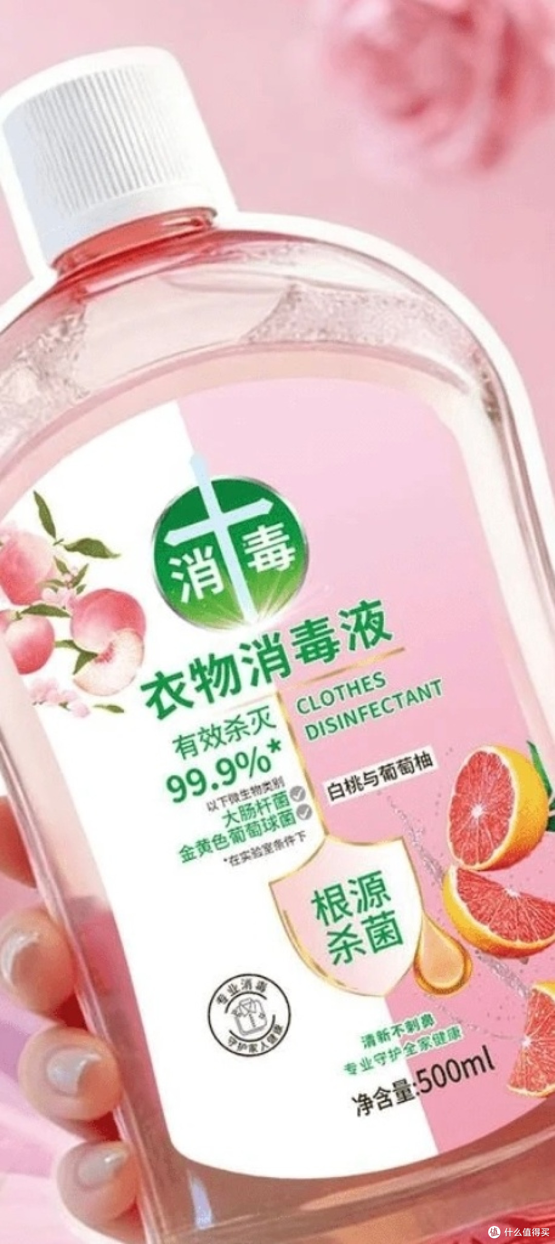 春季家居清洁好物：去霉除湿、衣物除菌实用神器
