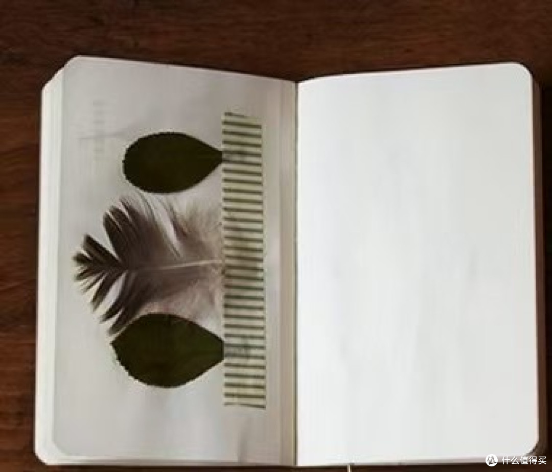 把春天装进手作笔记本？