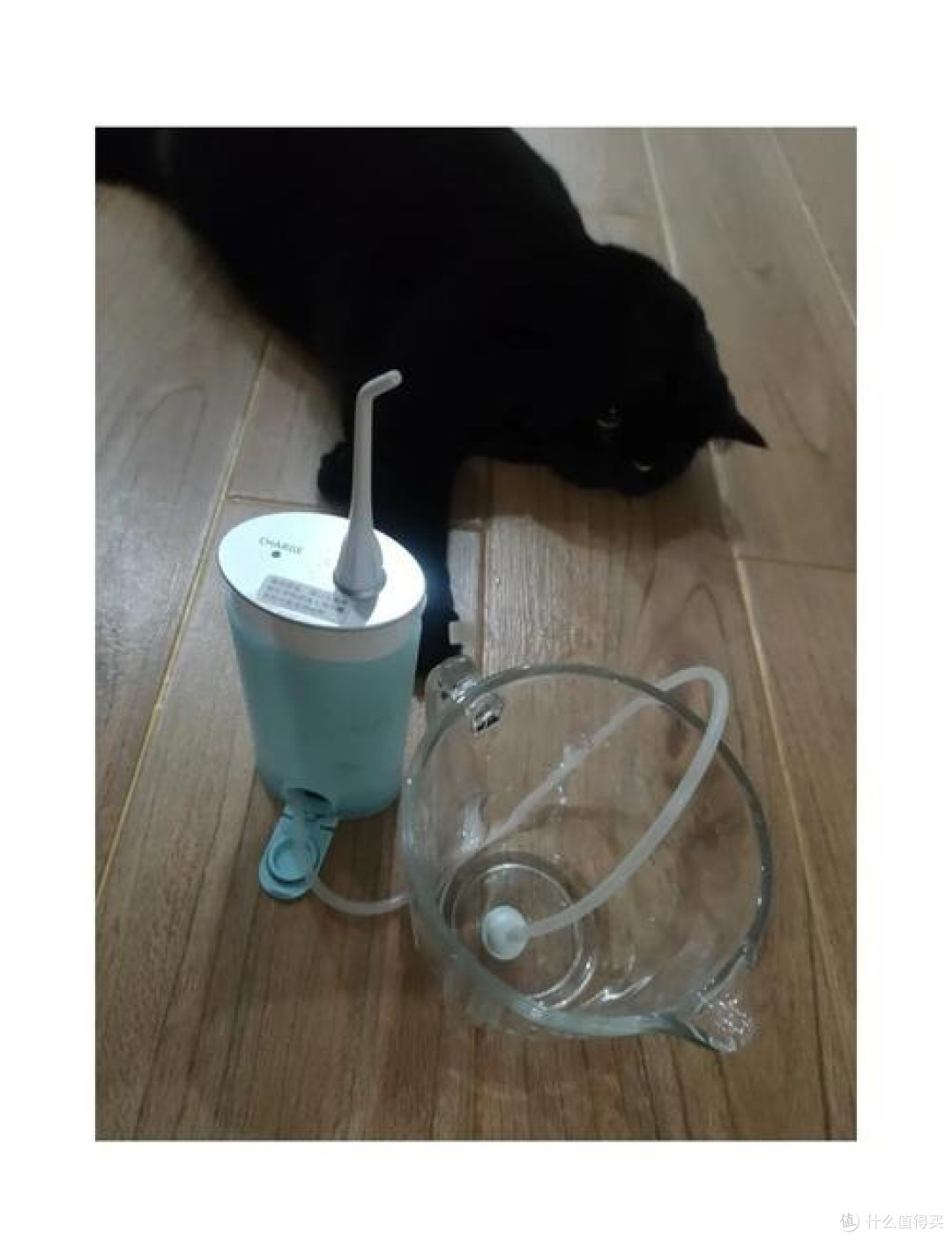冲牙器哪个品牌好用?全面揭秘性能款优劣,专业测评公布