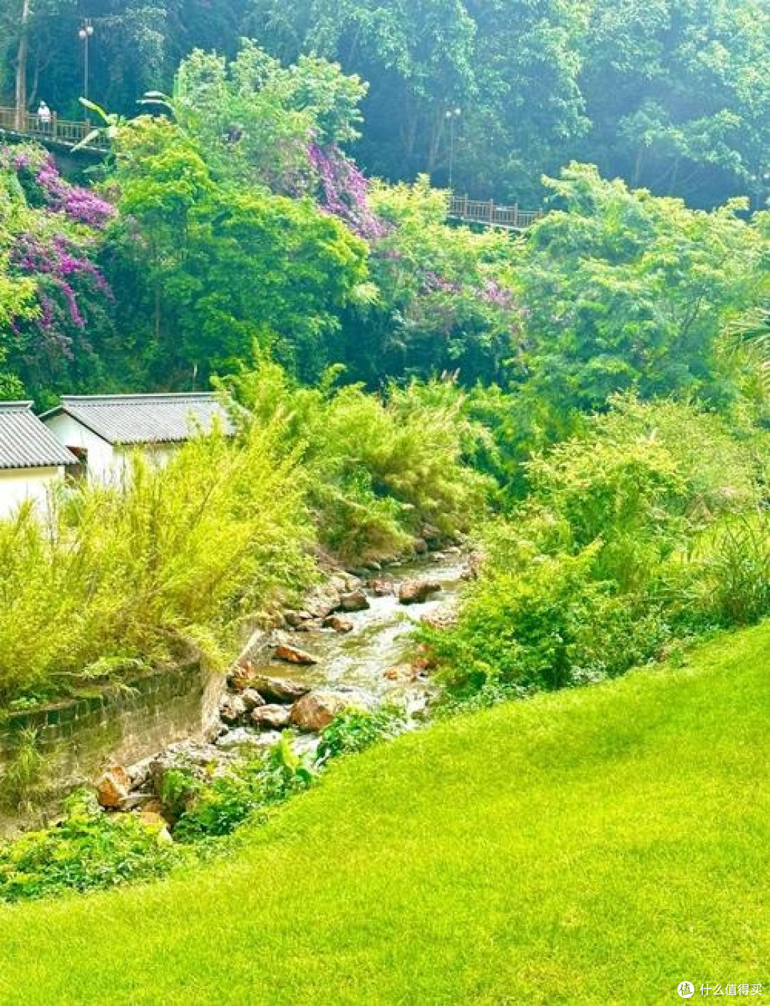 腾冲慢生活:和顺古镇与温泉