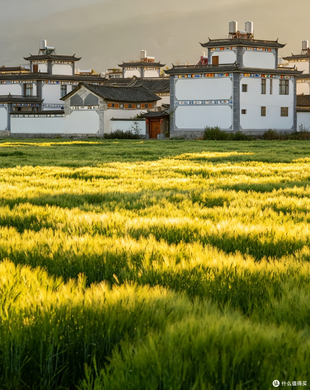 圣地巡礼｜奔赴大理，打卡我的治愈系影视旅行地