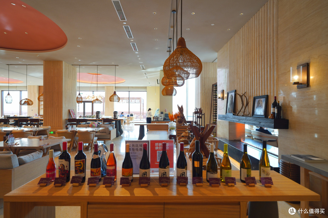 直面贺兰山!宁夏银川安漠酒店·夕曦餐厅体验