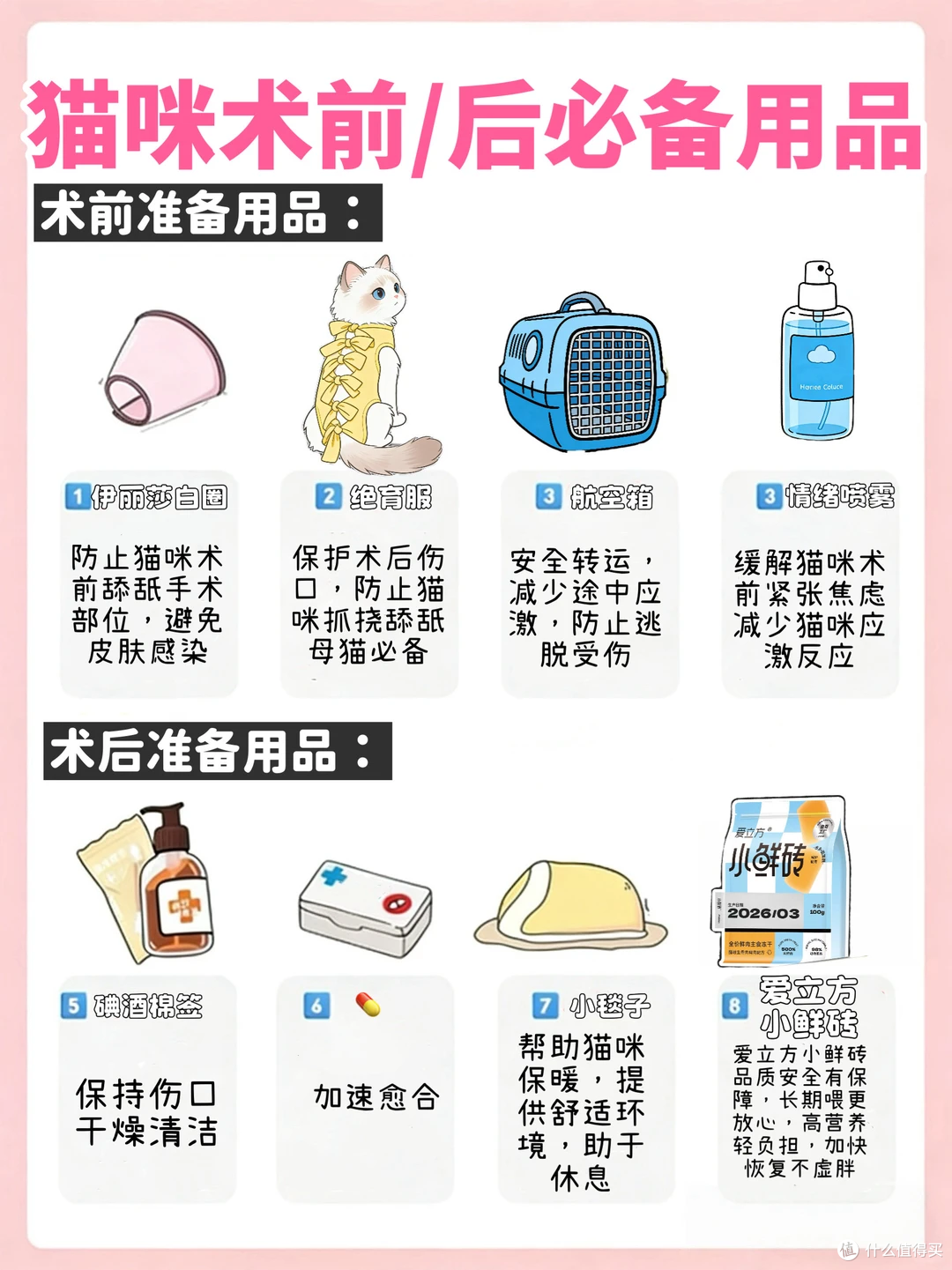 猫咪绝育全流程保姆攻略｜术前中后干货整理