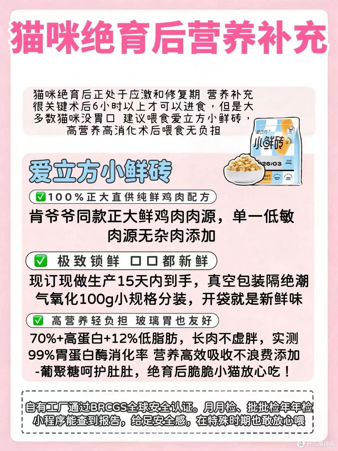 猫咪绝育全流程保姆攻略｜术前中后干货整理