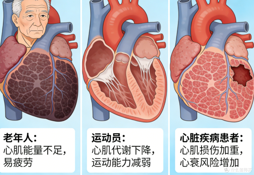 辅酶Q10怎么选不踩坑?2026年前十选购要点与安全品牌实测!