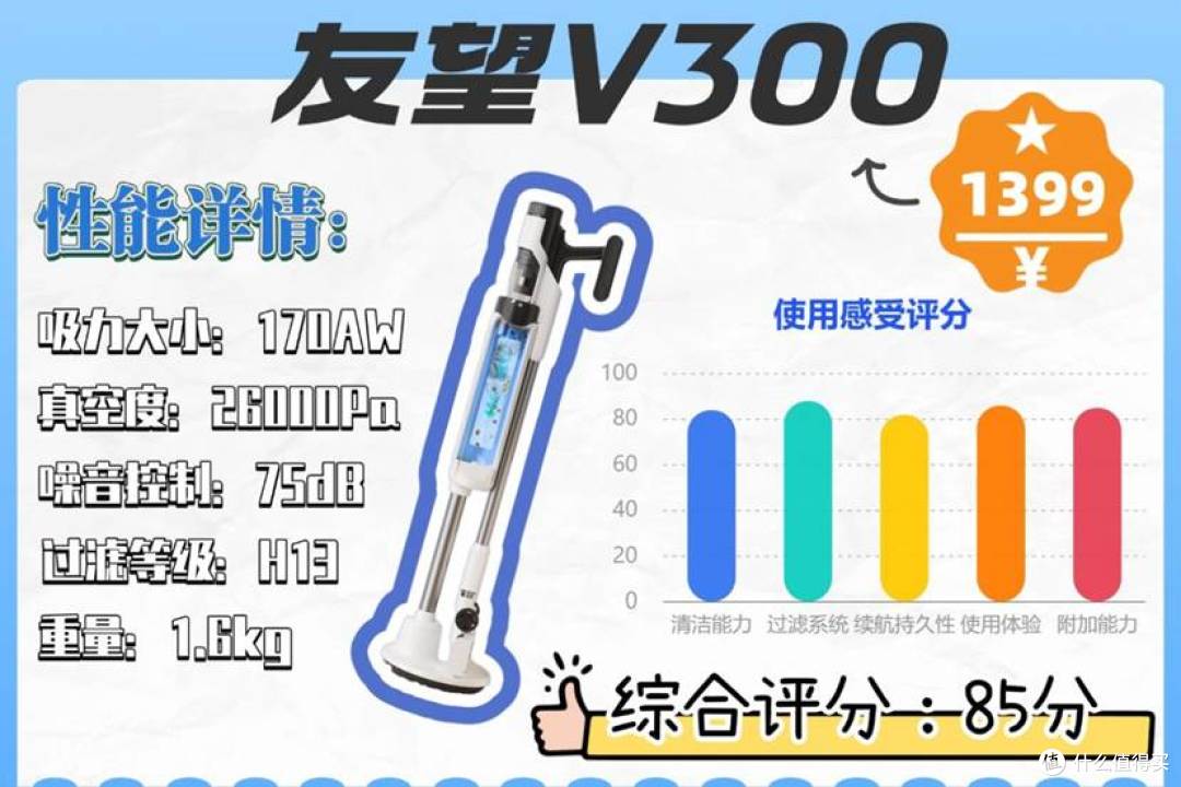 友望V300