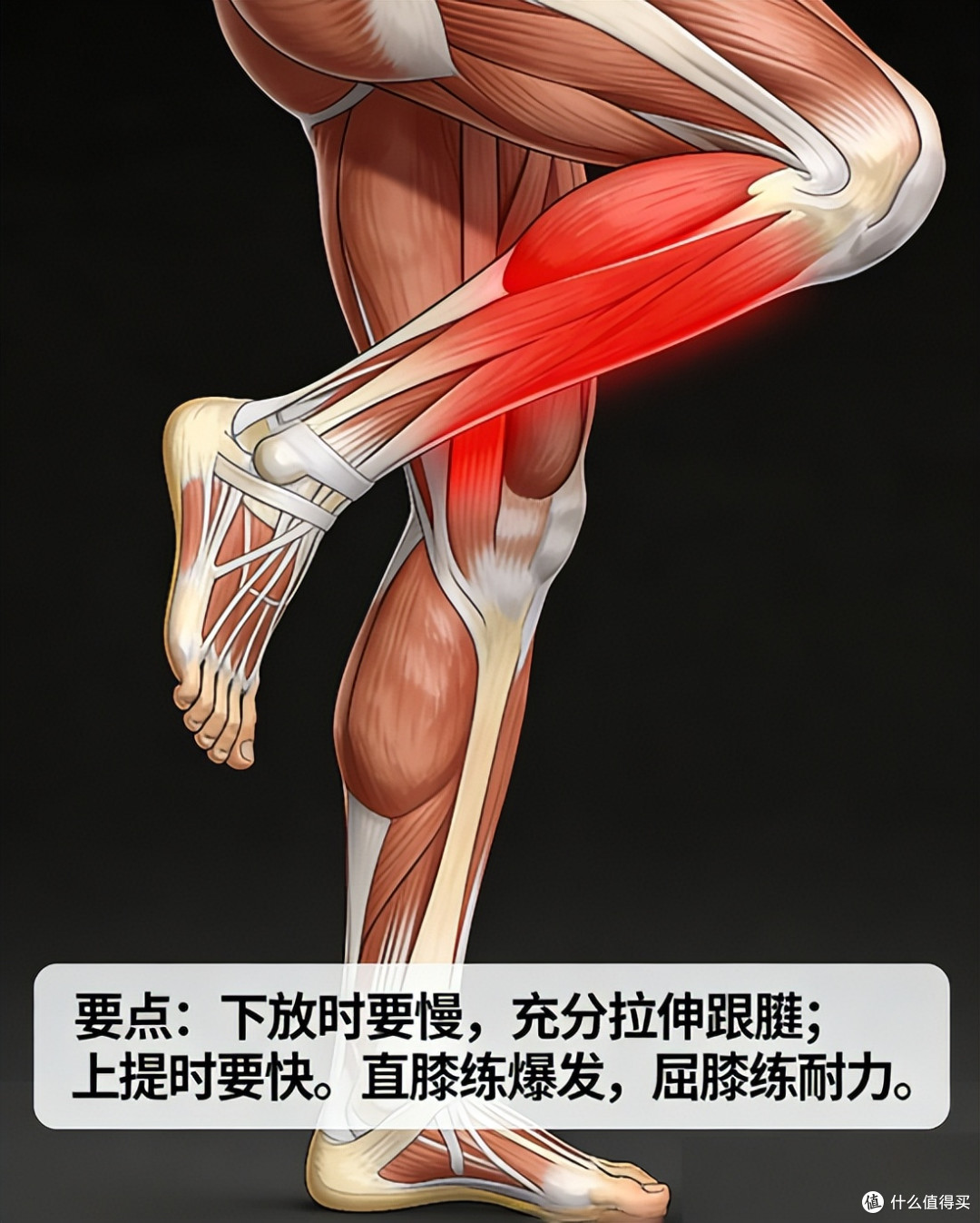 在家练出「铁膝盖」!4 个跑者专属护膝动作,远离跑步伤痛