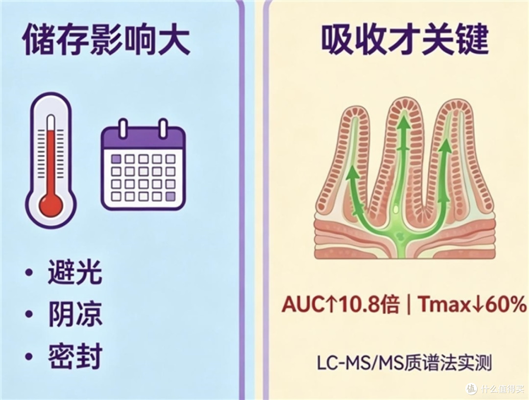 辅酶q10哪个牌子好？2026辅酶Q10品牌选购指南！