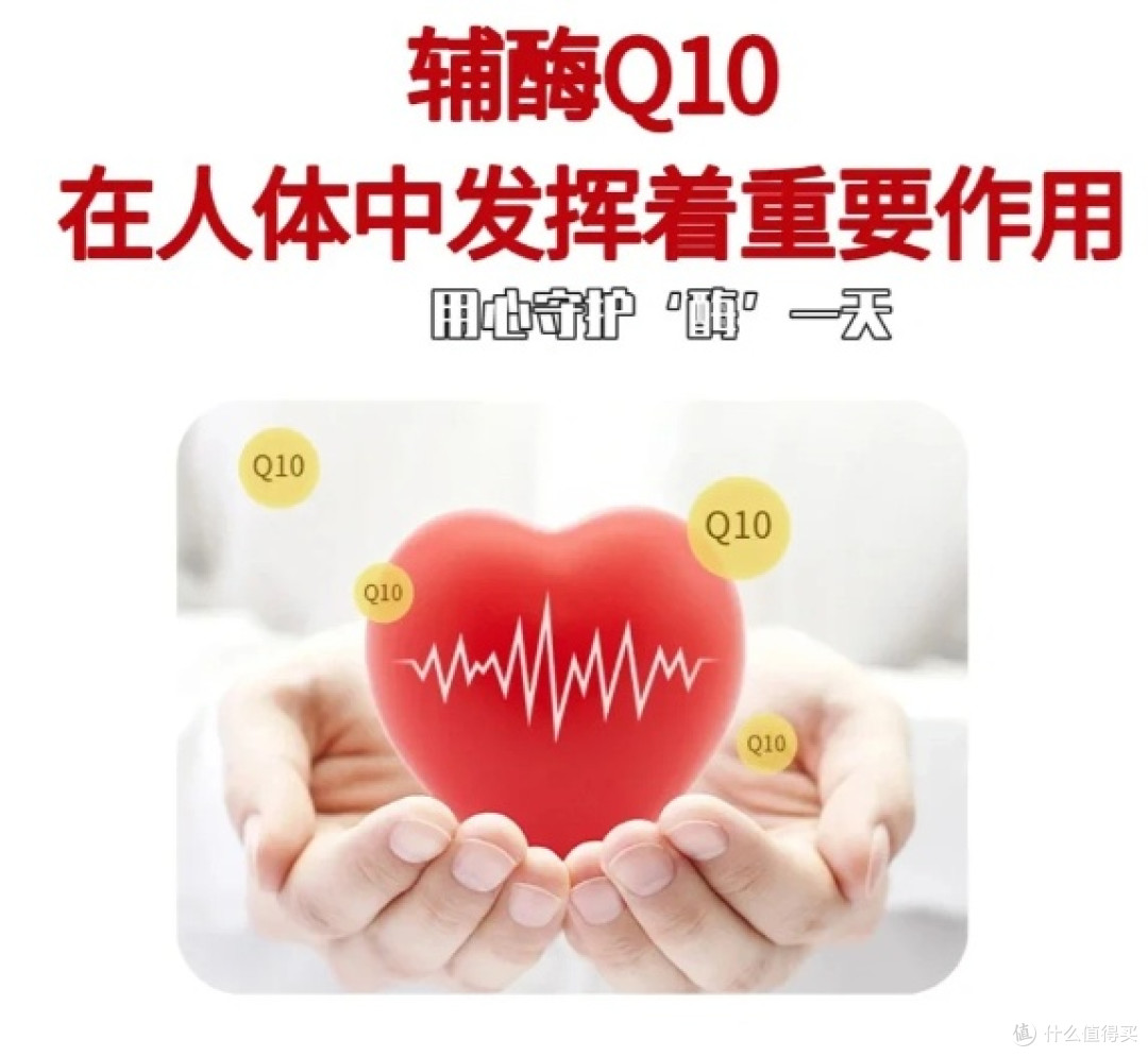 2026辅酶Q10热门品牌实测吸收力大比拼，选对品牌吸收翻倍