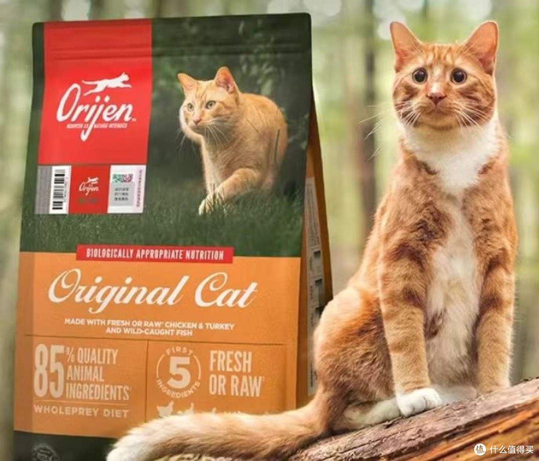 猫粮可以混着吃吗?换粮就拉稀猫粮怎么选测评2026排名前五的猫粮