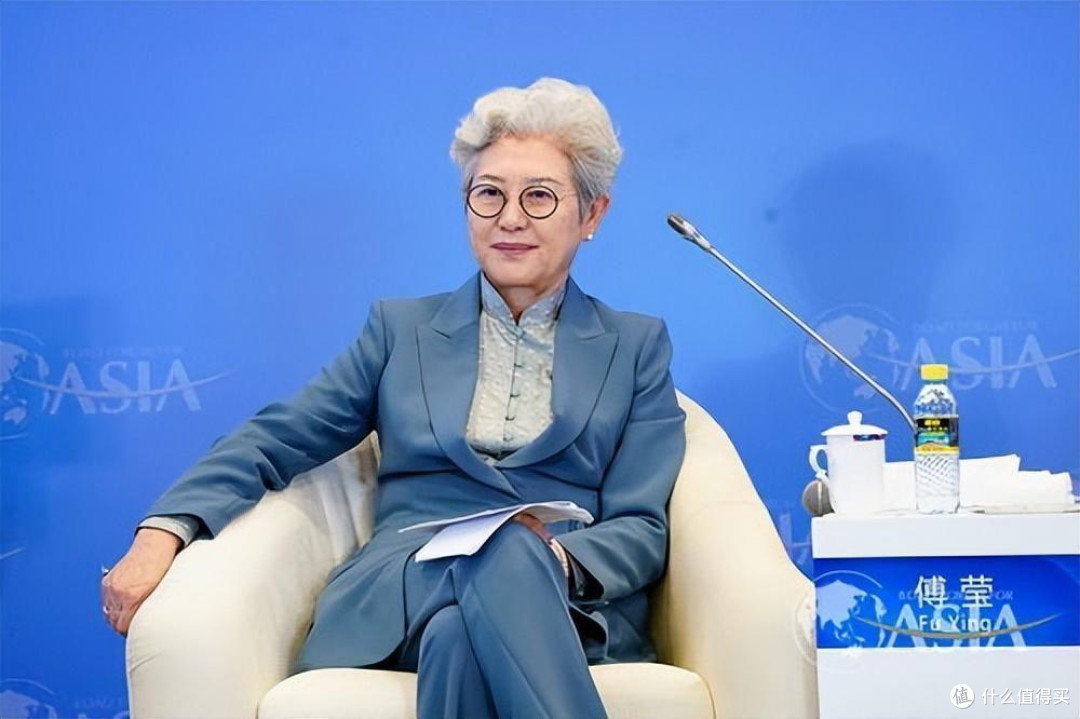 前外交官傅莹的打扮非常惊艳:白发不染、裙不上膝,美得优雅端庄