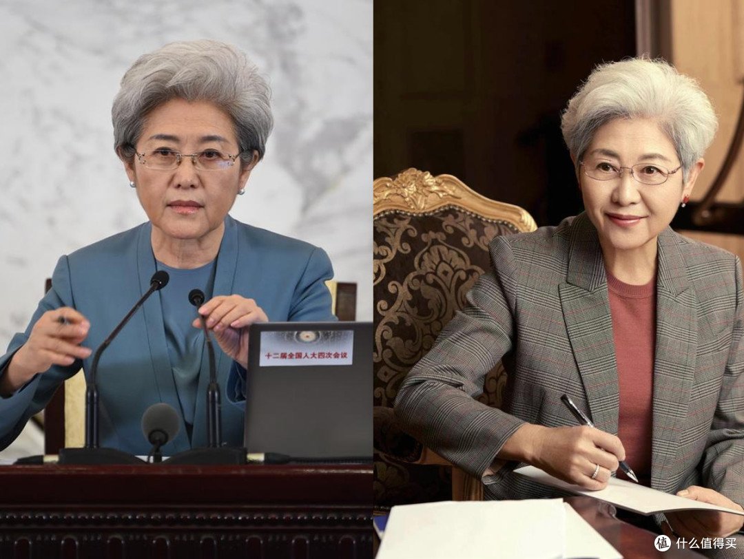 前外交官傅莹的打扮非常惊艳:白发不染、裙不上膝,美得优雅端庄