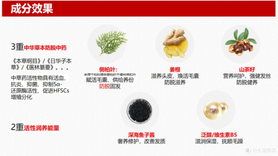 2026防脱市场观察:侧柏叶防脱洗发水热门品牌解析,选品不踩坑