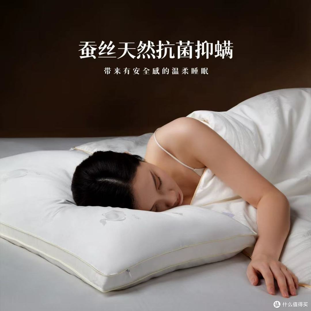 桐乡邵氏 100% 纯蚕丝枕｜把江南云絮枕进颈间，深睡一整晚✨