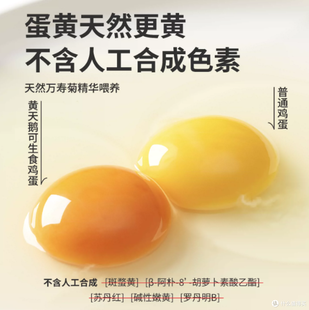 黄天鹅可生食鸡蛋🥚直接实现溏心蛋自由！