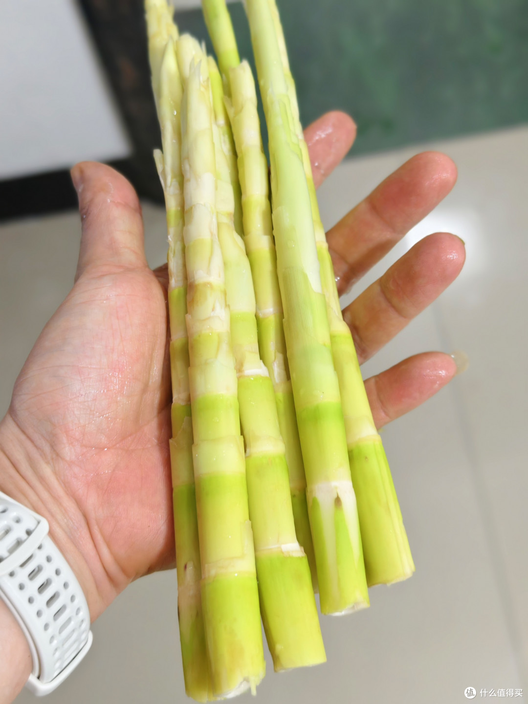 蔬菜之王,最好的减脂食物,比白菜还便宜,营养价值不逊人参