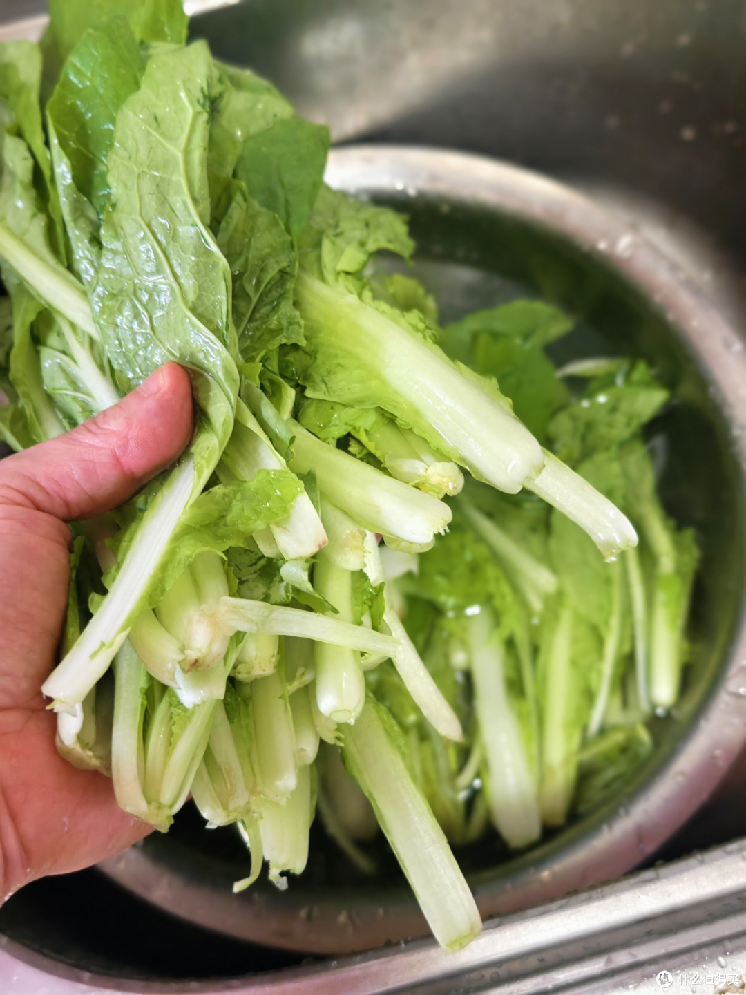 蔬菜之王,最好的减脂食物,比白菜还便宜,营养价值不逊人参
