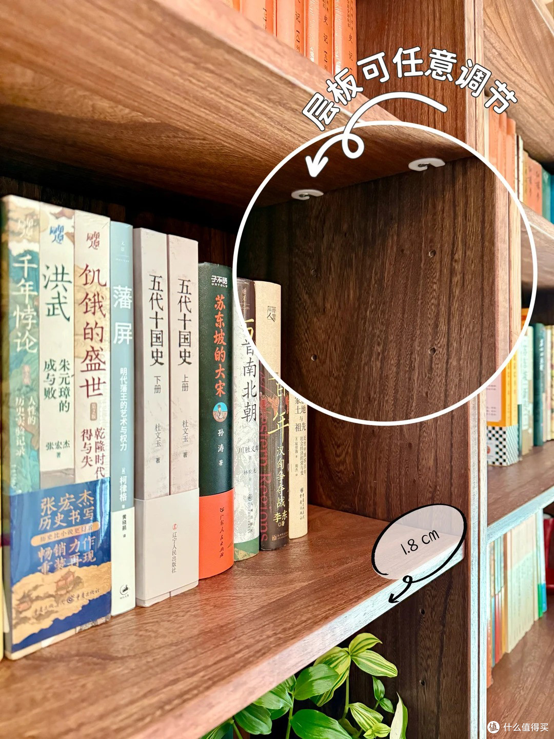 被上海交大教授书房惊呆了,藏书5万册,网友:这才是书香门第!