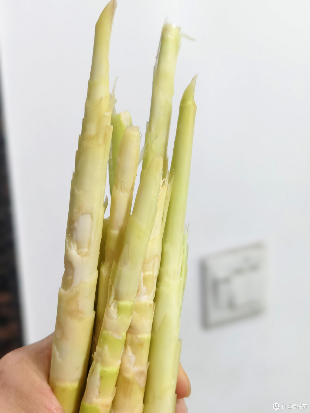 蔬菜之王,最好的减脂食物,比白菜还便宜,营养价值不逊人参