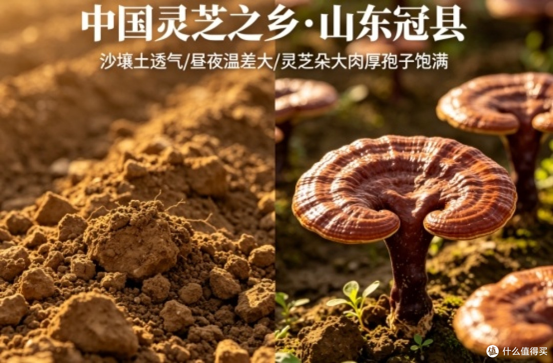 身体虚弱怎么补?术后恢复吃灵芝孢子粉好不好?医生提醒这三点