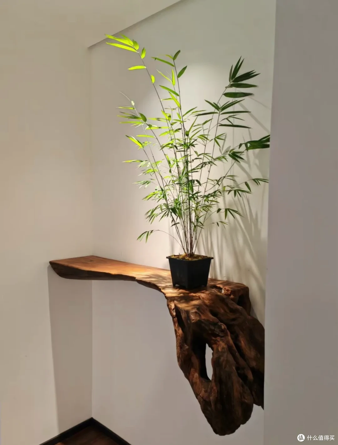 玄关可以多有趣？看完再看我家花了8000的隔断：它不配！