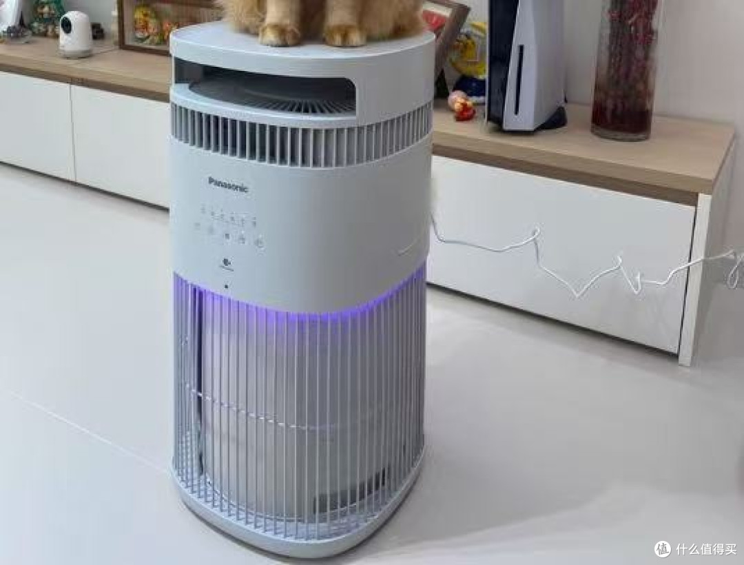 宠物空气净化器十大排名2026深度测评:必看吸猫毛哪个牌子好?