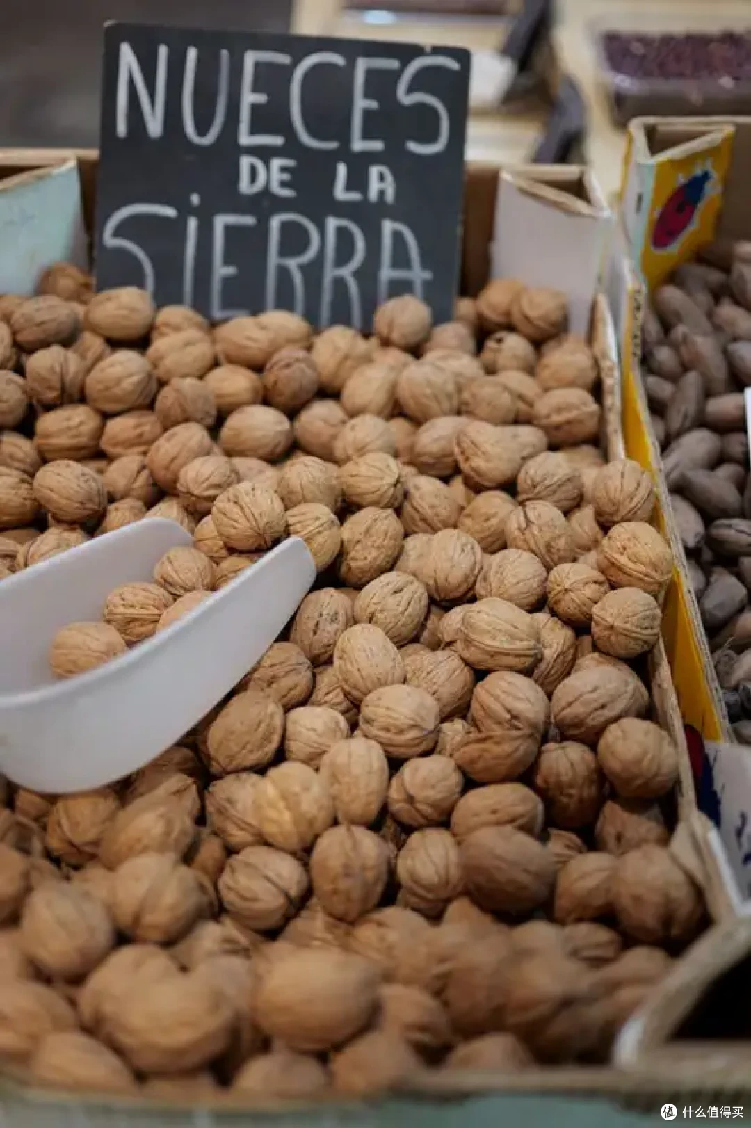小美好,轻上镜|LUMIX S 40mm F2 正式发布,S9新色同步登场