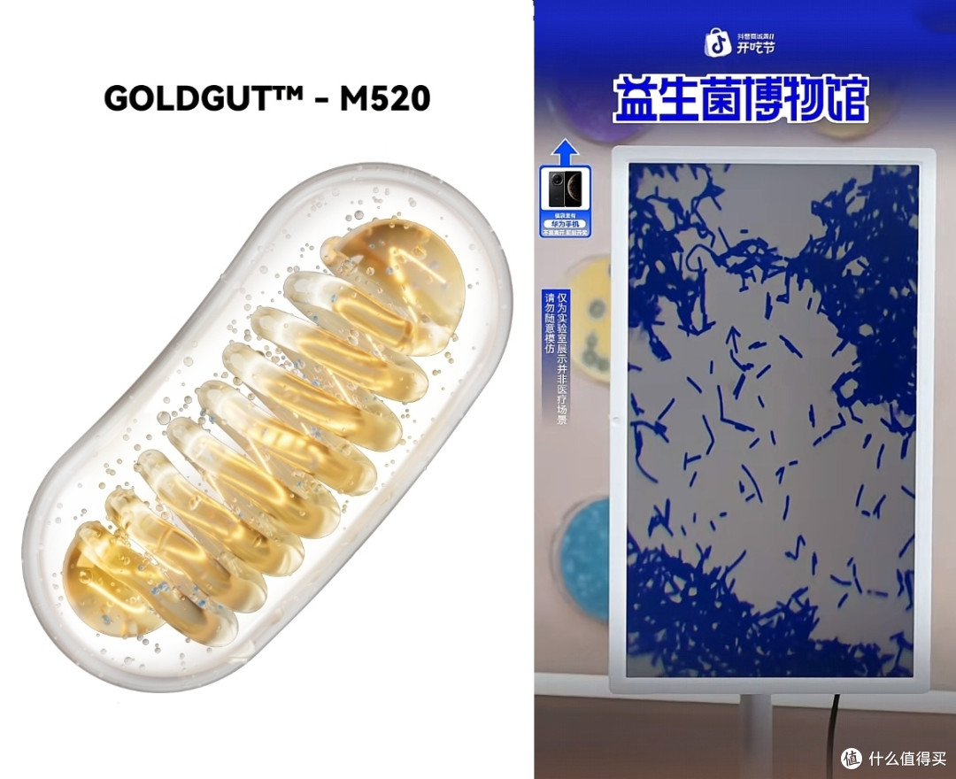 权威测评：2026年真正管用的益生菌品牌，万益蓝综合实力领先