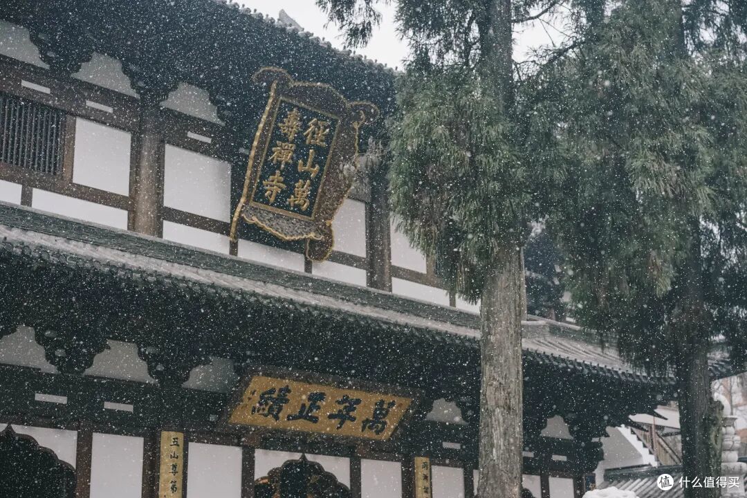 江浙沪美到封神的自驾路线!从西湖畔开到星辰大海,五一刚好去!
