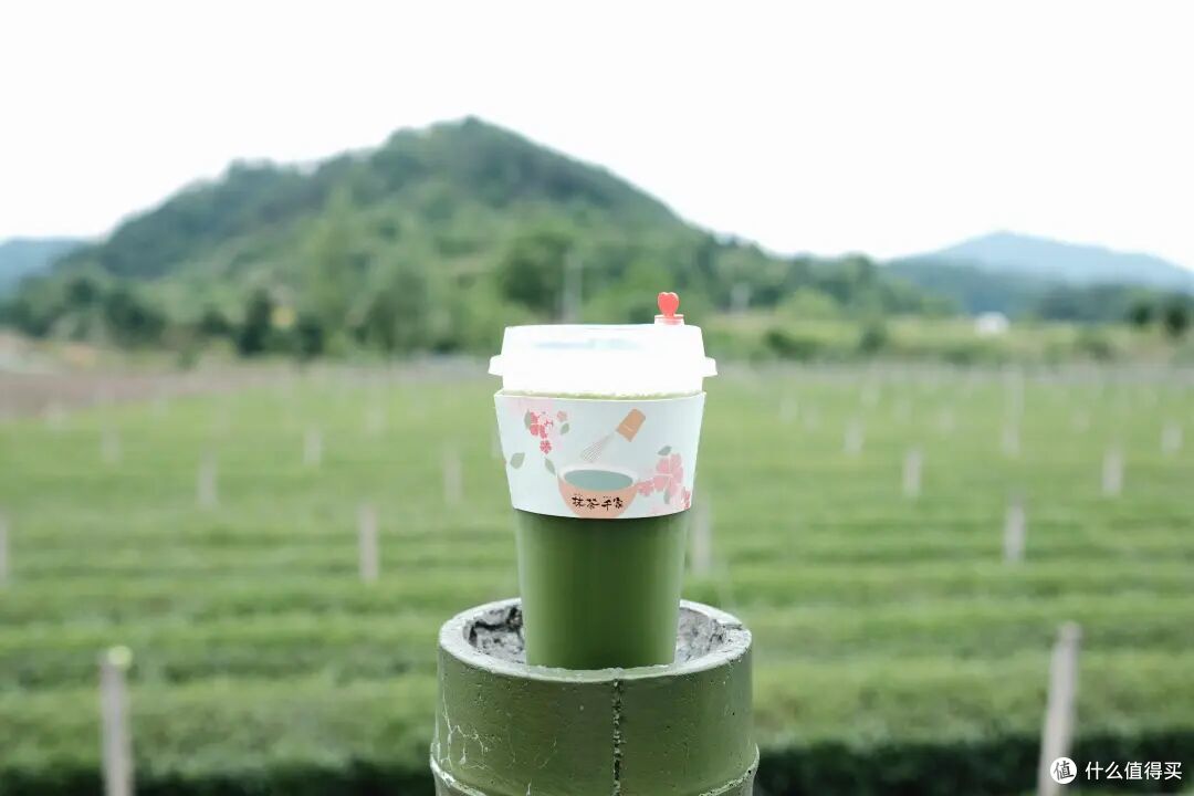 江浙沪美到封神的自驾路线!从西湖畔开到星辰大海,五一刚好去!