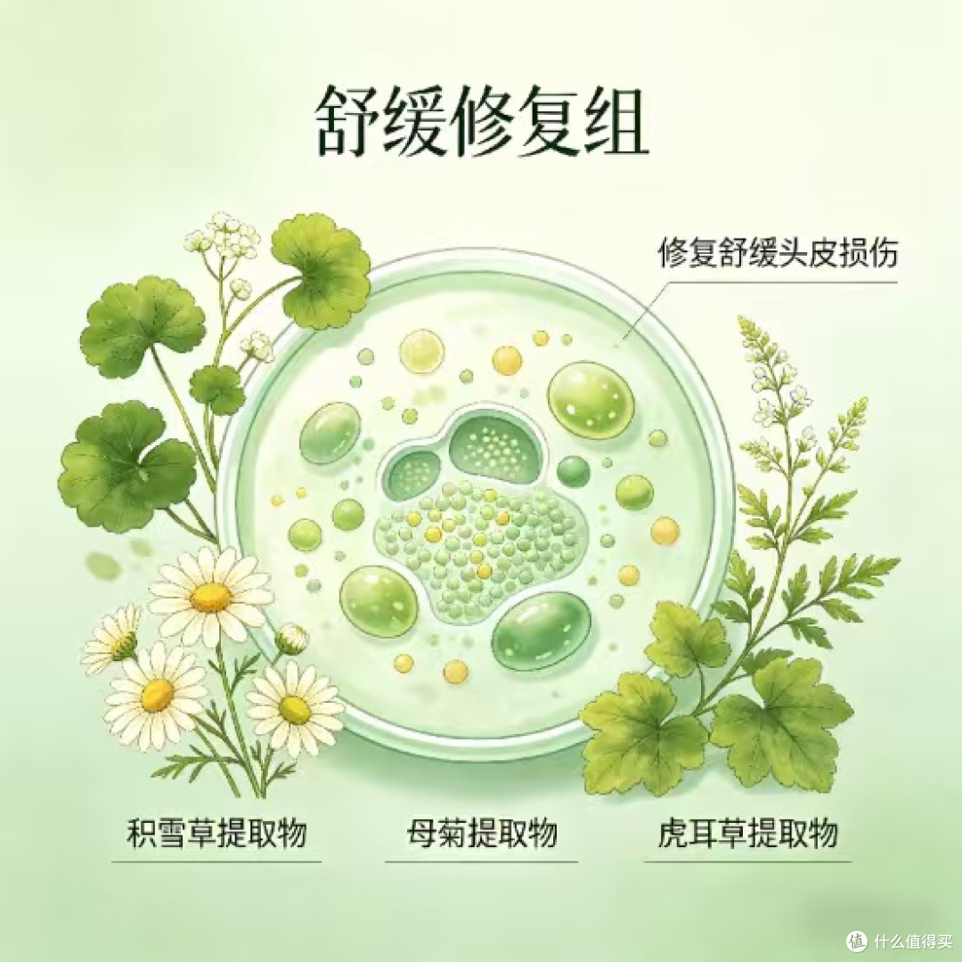 止痒去屑洗发水什么牌子好?去屑+止痒效果好的洗发水十大排名